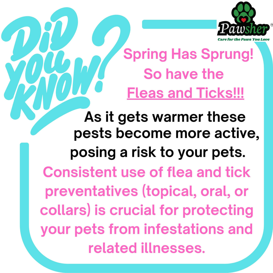 Spring into Action: How to Keep Fleas and Ticks Away from Your Pets