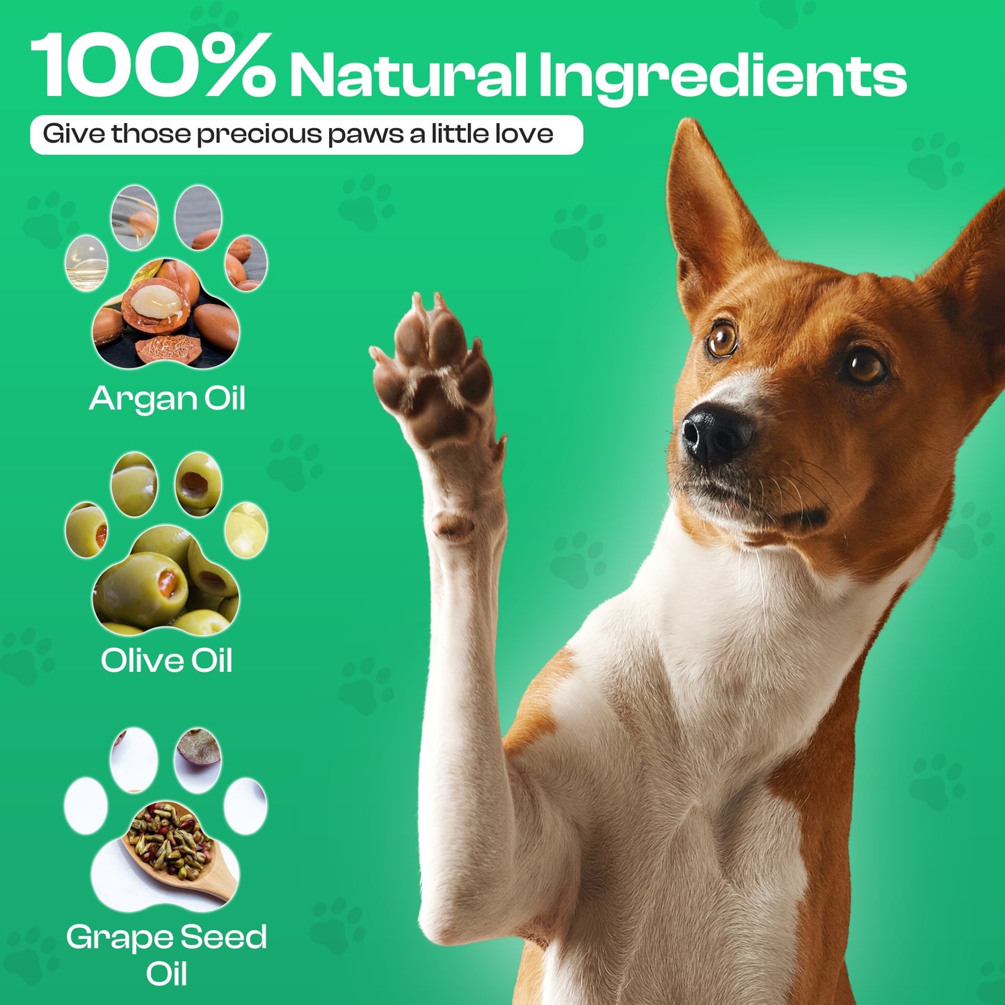 Natural Paw Balm for Dogs | Food Grade Ingredients