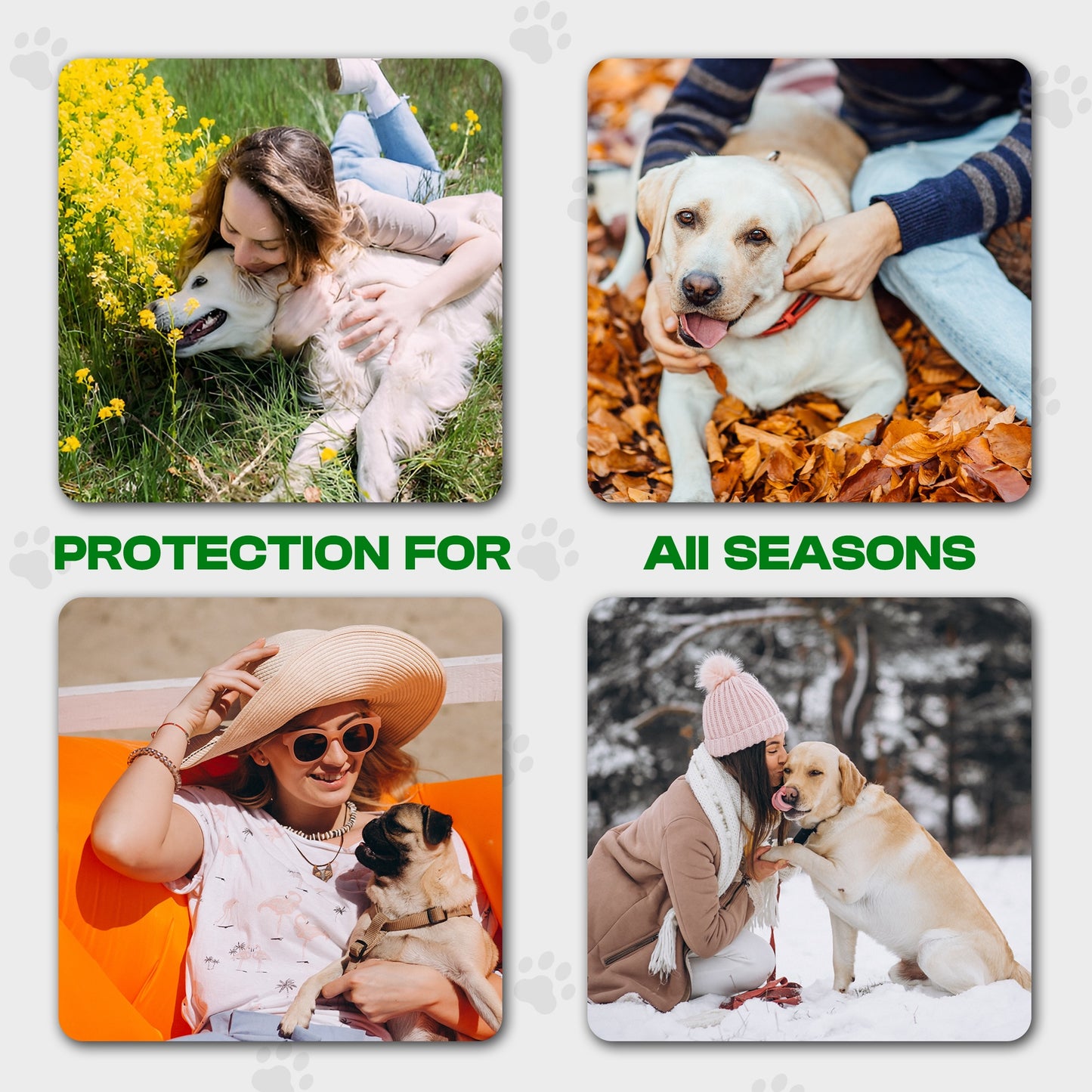 Pawsher Paw Soothing Balm for Dogs