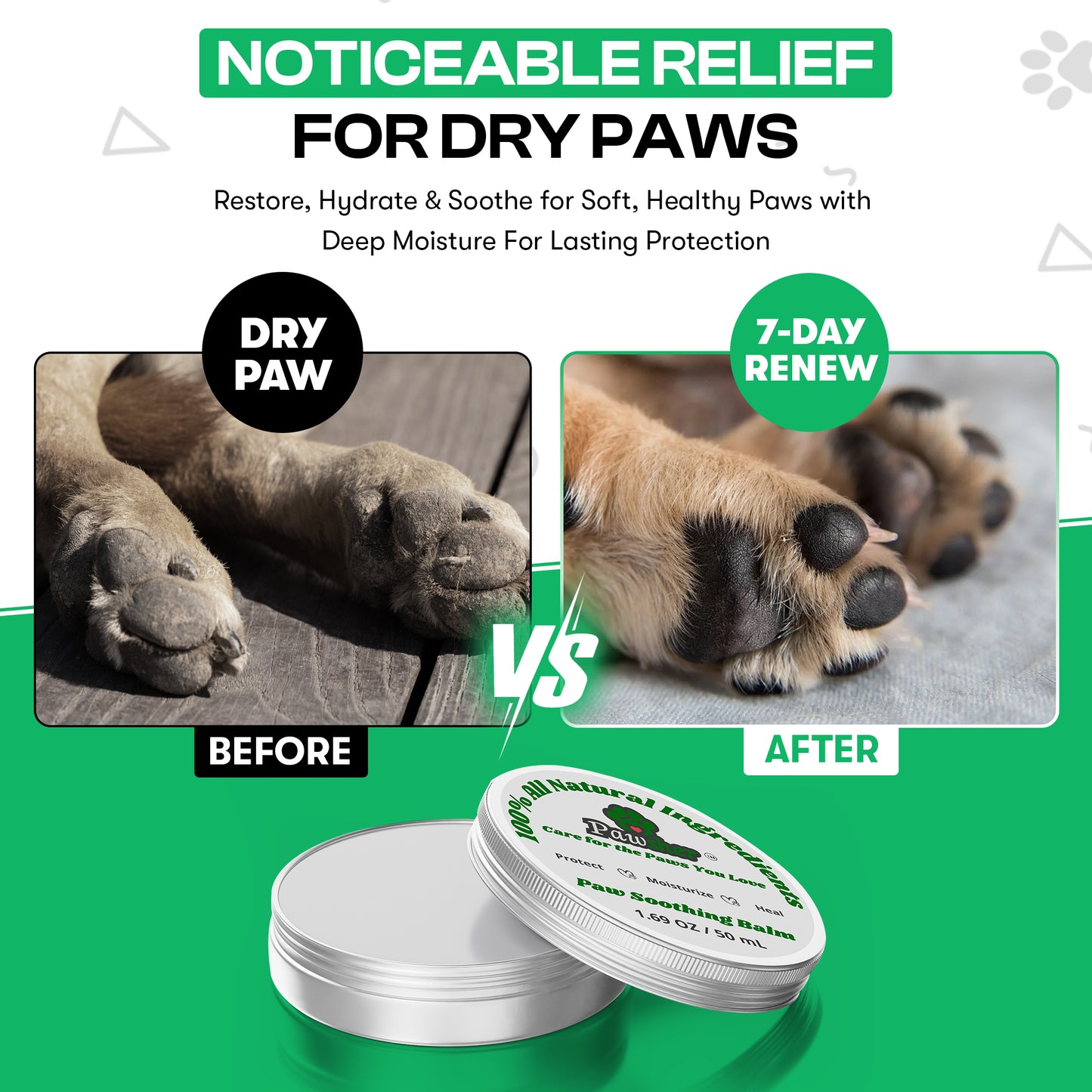Dog Essentials Spa Box