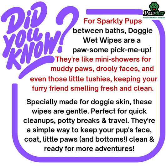 Fresh and Clean Between Baths: The Magic of Doggie Wet Wipes - Pawsher