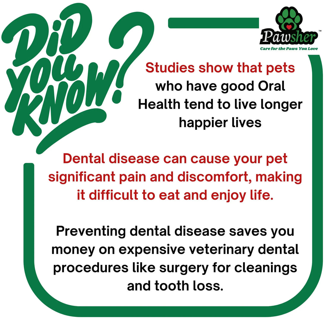 Healthy Smiles, Happy Pets: Why Good Oral Care Means a Longer Life - Pawsher