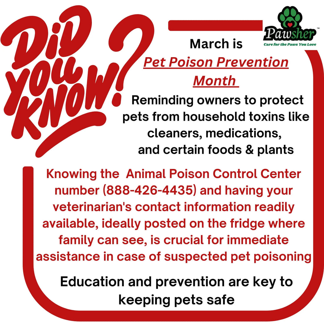 Protect Your Pets: Essential Tips for Pet Poison Prevention Month - Pawsher