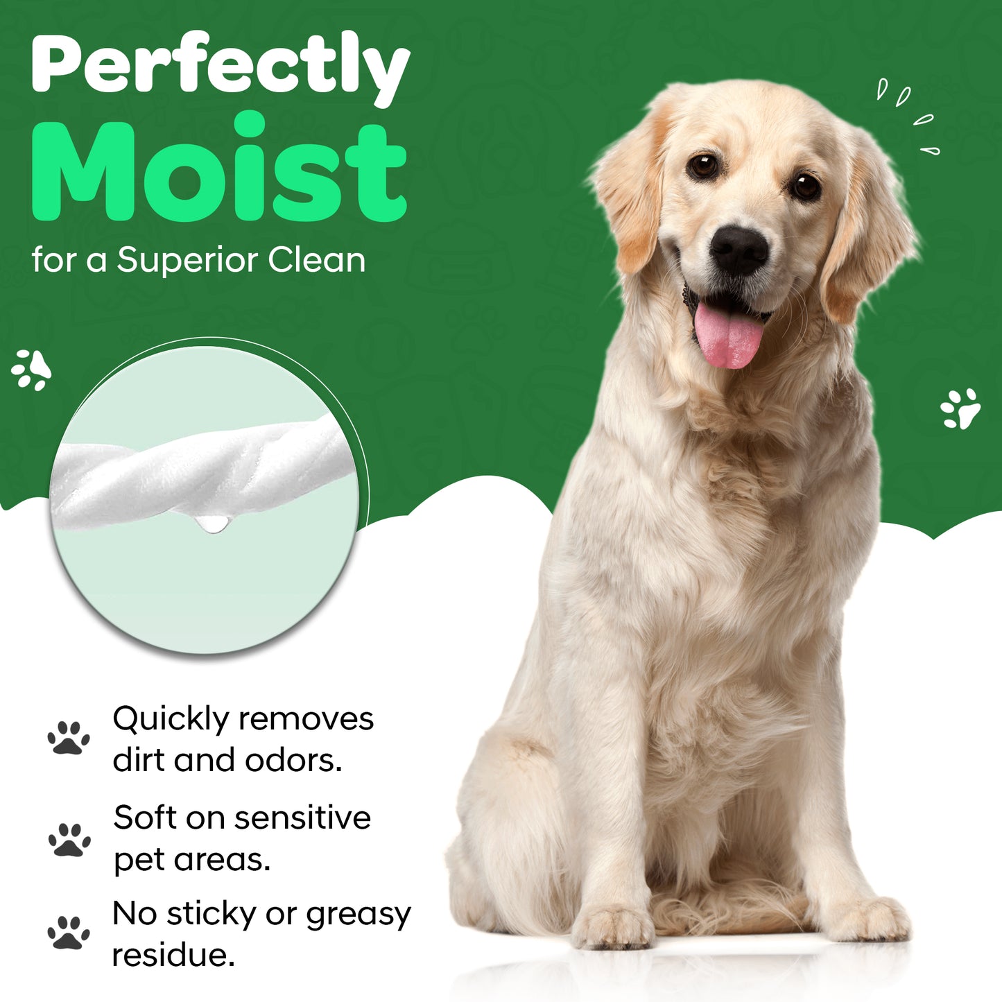 Pet Wipes for Dogs - Twin Pack - 160 Count
