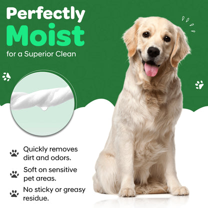 Pet Wipes for Dogs - Twin Pack - 160 Count