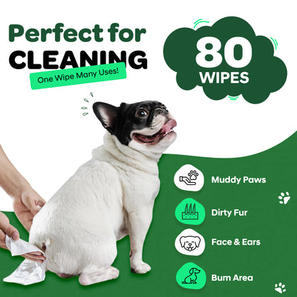 Pet Wipes for Dogs - Twin Pack - 160 Count
