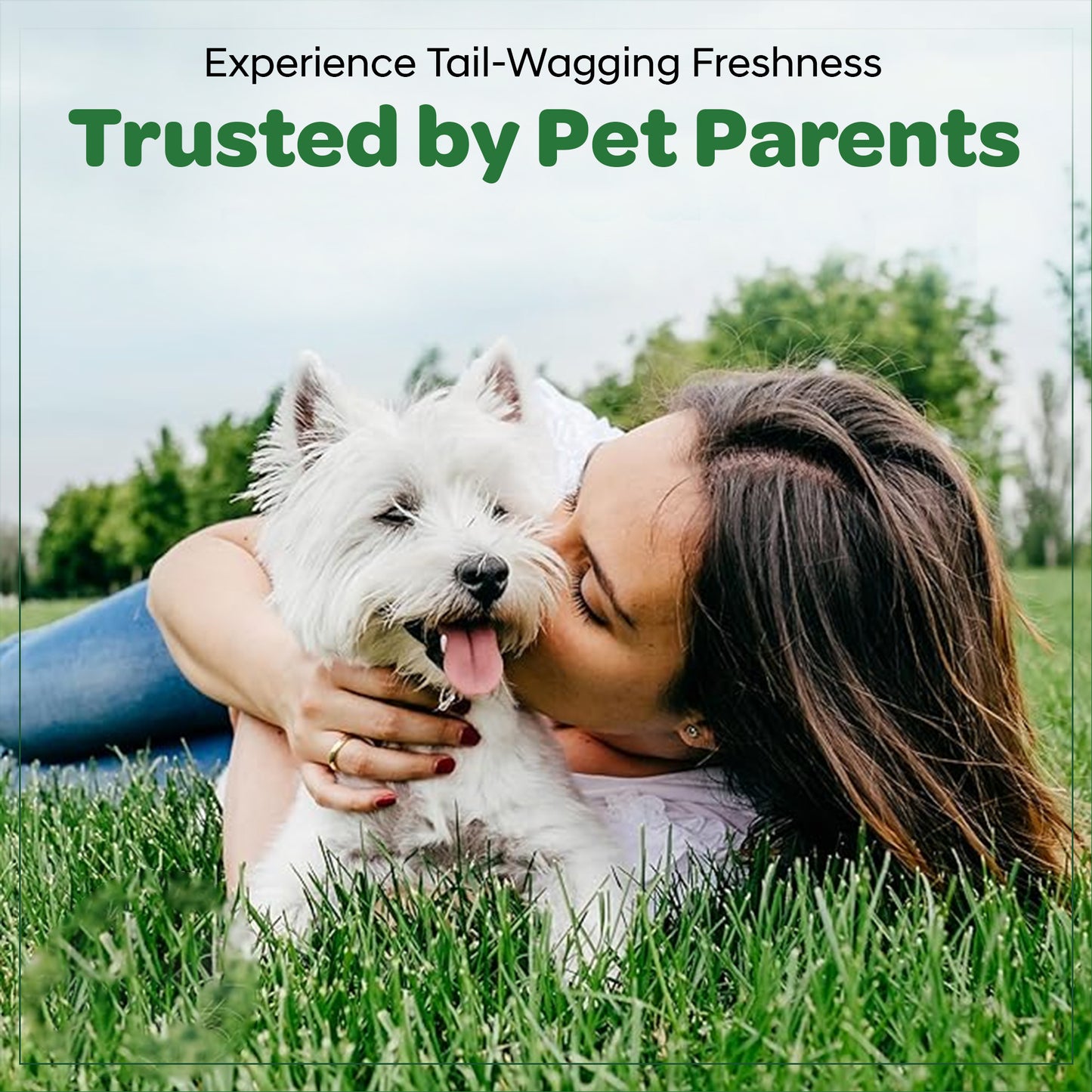 Pet Wipes for Dogs - Twin Pack - 160 Count
